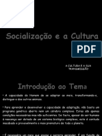 UN 1 Tema 1 Cap.5 - Socialização - Cultura