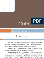 Cultura: elementos, socialização e relatividade