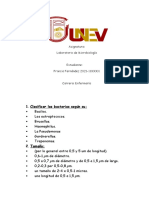 Clasificar Las Bacterias Según Su:: Asignatura: Laboratorio de Microbiología