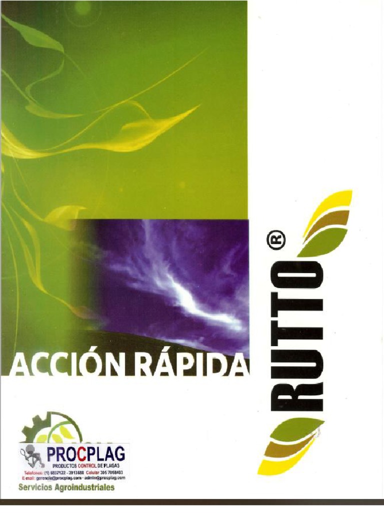 Ficha Tecnica Rutto | PDF