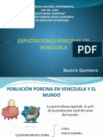 Explotaciones Porcinas en Venezuela 2