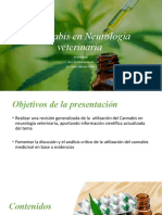 Cannabis en Neurología Veterinaria