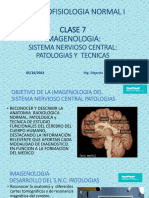 7.-Clase 7imagenologia S.N.C