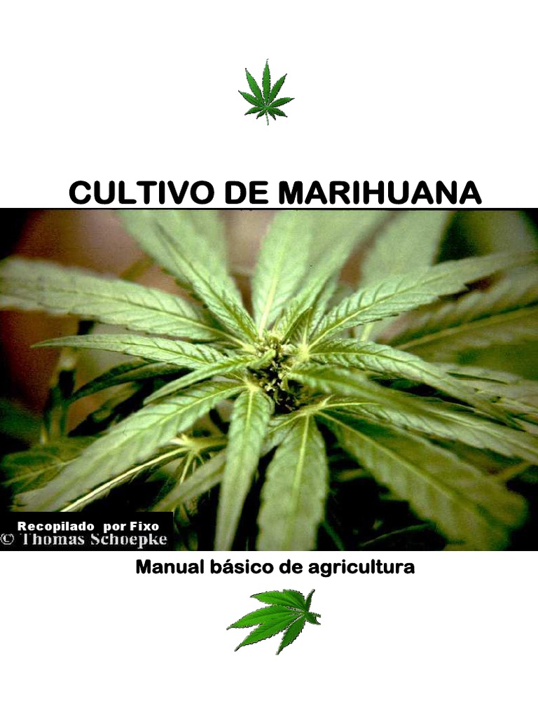 Pipa de Metal Hojas de Marihuana - La Huerta Grow Shop