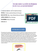 Modulo N°4 Epidemiología Cadena