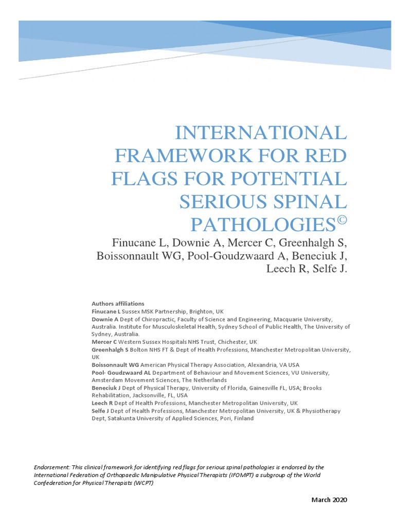 International Framework for Red Flags for Potential Serious Spinal