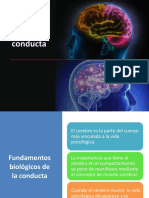 Conducta y Cerebro