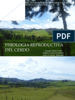 Fisiología Reproductiva Del Cerdo