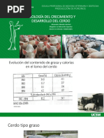 Manejo de Cerdos en Crecimiento y Engorde | PDF | Zoología | Derechos ...