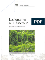 Agri Cameroun