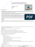 Plan de Trabajo municipio