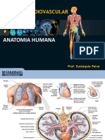 Anatomia - Sistema Cardiovascular I