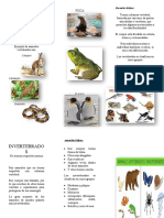 Triptico Vertebrados e Invertebrados