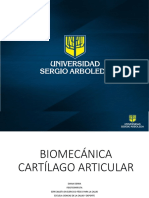 Biomecánica Cartílago Articular