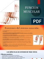 Función Muscular