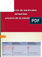 Presentacion 8 Trasnsporte Celular Ppt-Convertido (JM Mod) PDF