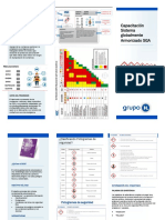 Folleto Capacitacion SGA