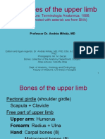 Bones of the Upper Limb Anatomy