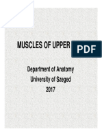 03 Muscles of Upper Limb