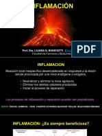 Inflamacion PDF