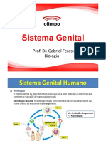 Sistema Genital Masculino e Feminino