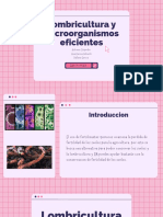 Presentación Proyecto Tecnologia Interfaz Rosa (1)