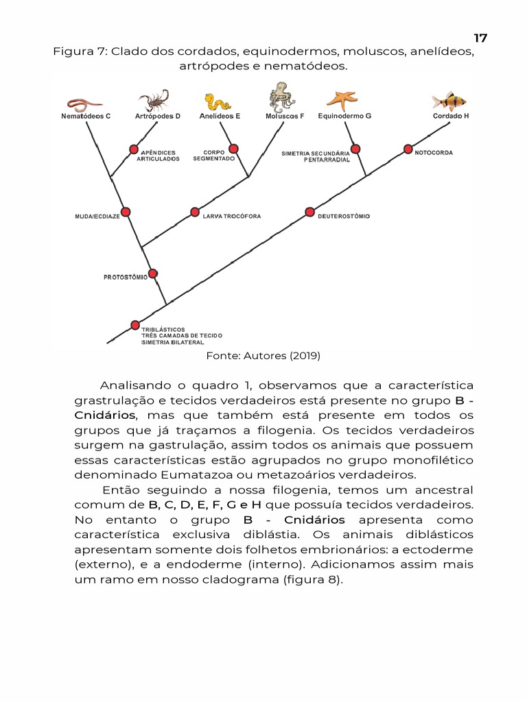 LIVRO - Manual para Elaboração de Cladograma-18-22 | PDF | Filogenética ...