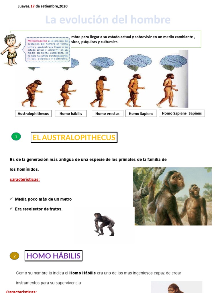 La Evolución Del Hombre | PDF