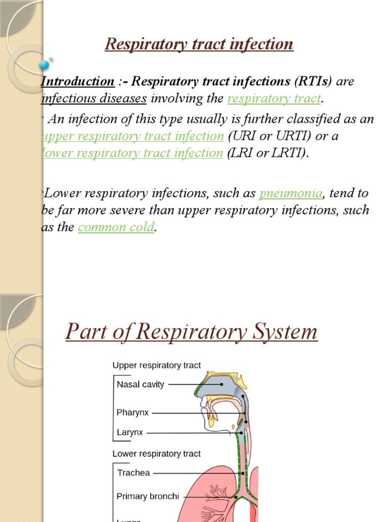 Overview of Respiratory Tract Infections | PDF | Common Cold | Diseases ...