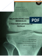 Relación Entre Lesiones Meniscales Y Posterior Artrosis de Rodilla