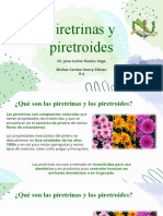 Piretrinas y Piretroides