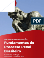 Fundamentos Do Processo Penal Brasileiro Apostila Nova