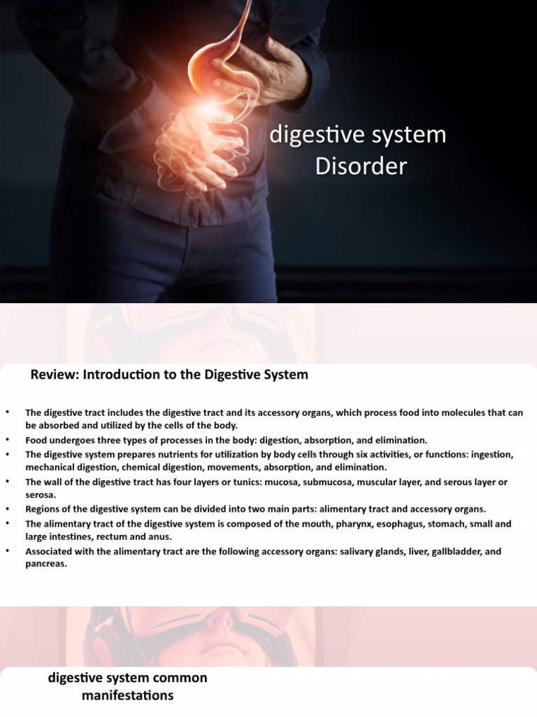 An InDepth Review of the Digestive System Its Functions, Common