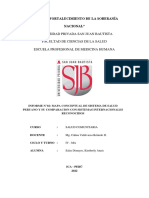 Informe 2 Sistema de Salud Peruano