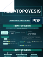 HEMATOPOYESIS