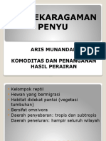 Keanekaragaman Penyu