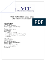 Fall Lab Practice Sheet