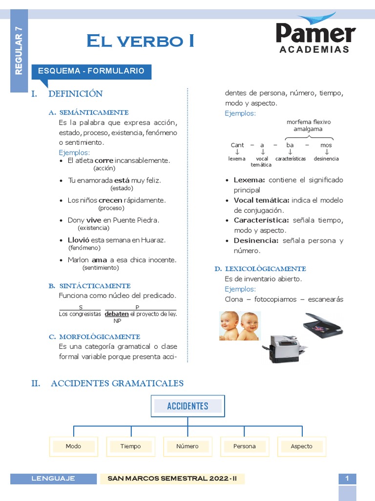 Lenguaje - Reg 7 - El Verbo I | PDF | Verbo | Ciencia cognitiva