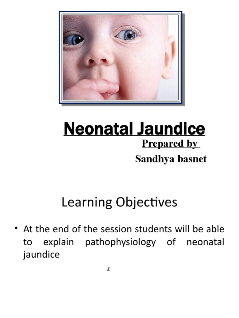 Neonatal Jaundice PDF