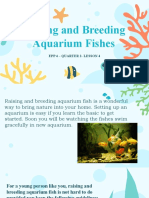 Raising and Breeding Aquarium Fishes: Epp 4 - Quarter 2-Lesson 4