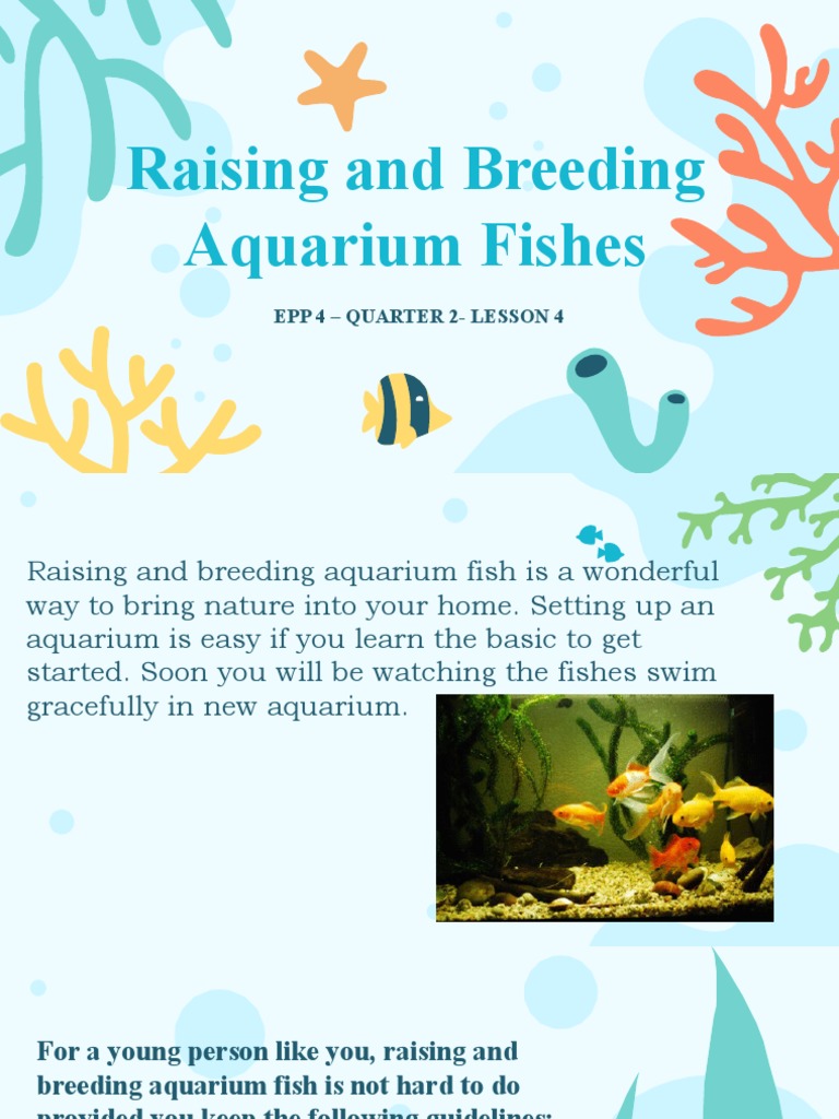 Raising and Breeding Aquarium Fishes Epp 4 Quarter 2Lesson 4 PDF