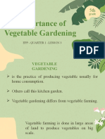 Importance of Vegetable Gardening: Grade