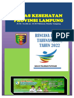 RKT 2022 Dinas Kesehatan Lampung