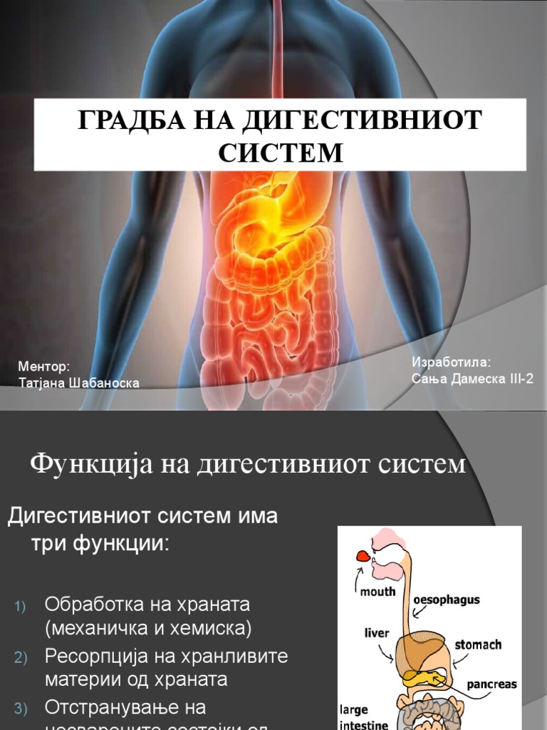 Градбааа на дигестивниот систем | PDF