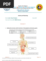 Labe Cindy R. Worksheet 11 PDF