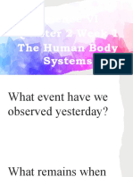 Human Body Systems: Skeletal System