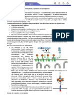 Biologia 16 - Biologia Del Cancro