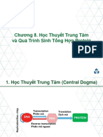 Chương 8. Học thuyết trung tâm và quá trình sinh tổng hợp protein Short version