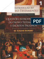 730 Introdução Ao Novo Testamento, Questões Introdutórias Do Novo Testamento e Escritos Paulinos - M. Boring Eugene