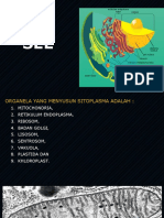 Pertemuan IV - Cell II